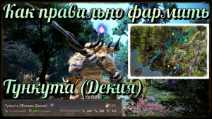 Black Desert / BD: Как правильно фармить спот Тункута (Фонарь Декии)