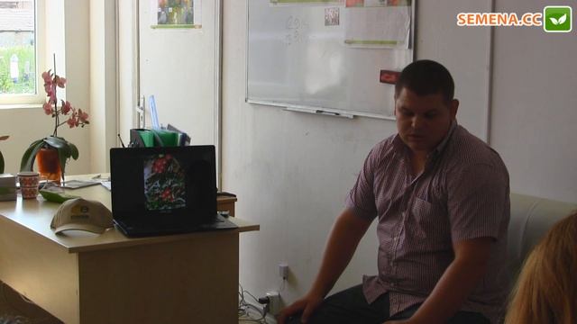 Курода шантане F1 морковь (Sakata) семинар Sakura