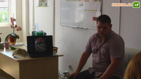 Курода шантане F1 морковь (Sakata) семинар Sakura