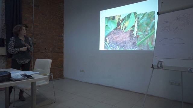 Введение в пермакультуру. часть 3 смотреть онлайн