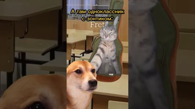 Гении поймут🤣 #котики #мем #рекомендации🌂☂️🌂