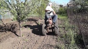 Культивация сада мотоблоком с адаптером