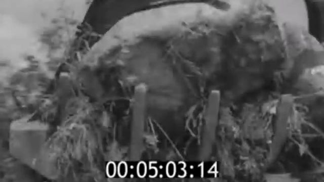 Техника для выкорчевывания пней. Редкий трактор, который никогда не видели. смотреть онлайн