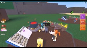 Как Получить Животных в Чокнутых Волшебниках/Wacky Wizards [?PETS]/Roblox 1 часть