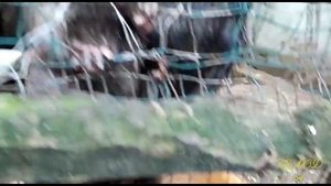 "Сижу за решёткой в темнице сырой..."