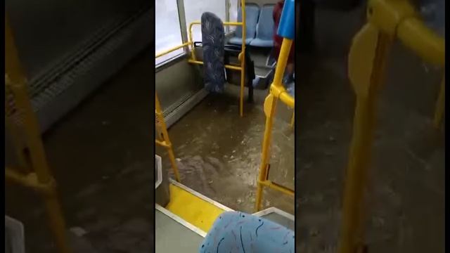 На Сахалин обрушился мощнейший ливень