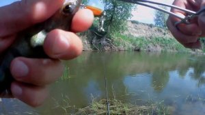 Ловля голавля на реке Чир. Первая рыбалка на Чиру