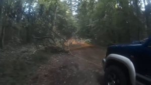 Убираем дерево с дороги. Опель Монтерей(Opel Monterey).