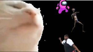 🎊| IEVAN POLKKA | VIOLIN COVER | BY SARBAJIT |🎊