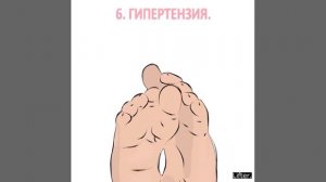 за что отвечают следя и пальцы ног