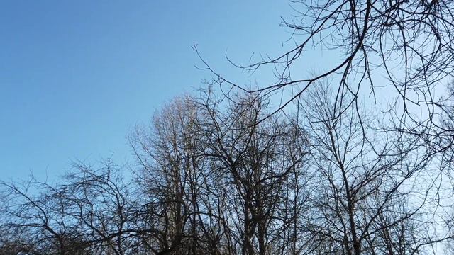 Первые ручьи апреля