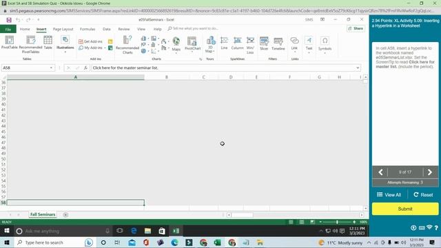 Excel 5A and 5B Simulation Quiz | Complete Academics Help