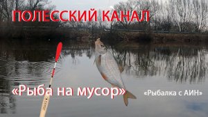 Полесская щука прошла мимо, плотва и густера, вот наш удел