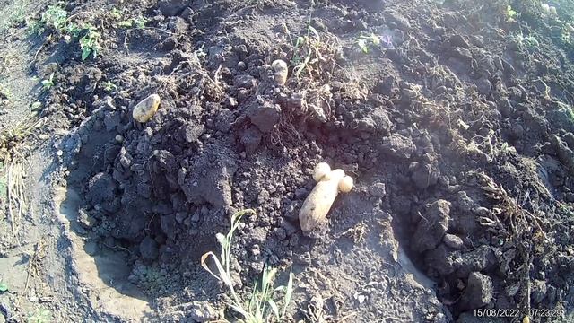 ИНТЕРЕСНО ПОТЕРЯЛ ИЛИ ВЫБРОСИЛ ЗА НЕНАДОБНОСТЬЮ.mp4 смотреть онлайн