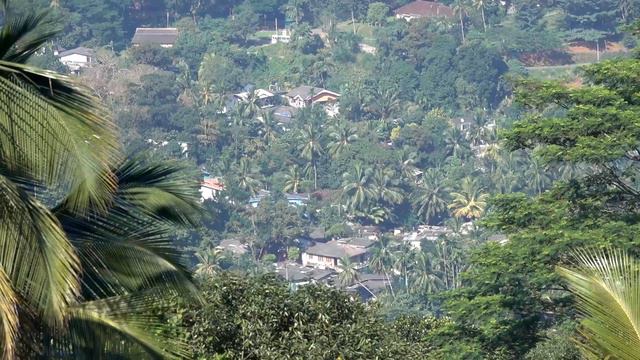 100 дорог. Шри-Ланка-3 смотреть онлайн