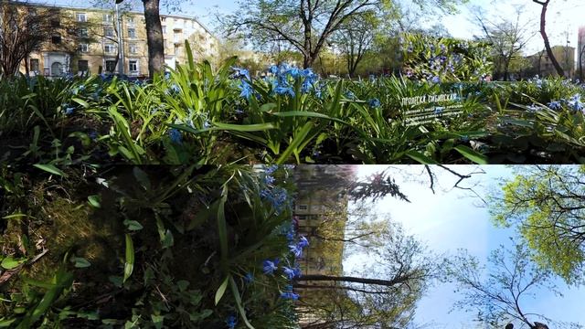 Видео 360 | Весенние явления в природе столицы. Биоразнообразие Москвы смотреть онлайн