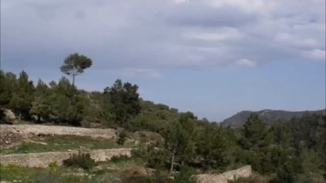 Классический романс "Утро туманное" смотреть онлайн