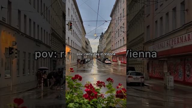 Дождливые дни в Вене по-своему прекрасны. Помогаем переехать в Европу через образование в Австрии