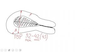 Введение в УЗИ малого таза у женщин 2022 04 26 14 15 58