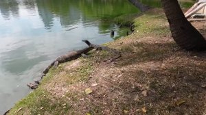 Что посмотреть в Бангкоке 2023? Основные достопримечательности! Интересные факты! Дворцы и трущобы