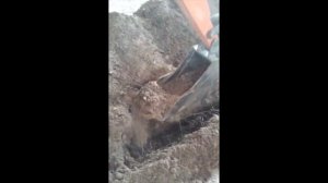 Мини-экскаватор STRONG M 1500 - отзыв строителя