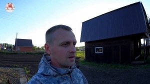 Кто растет лучше гибридные или чистопородные свиньи (дюрок-ландрас, дюрок, пьетрен).