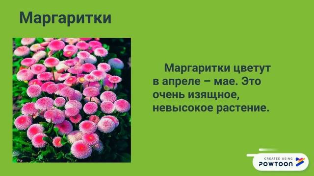 Цветники.pptx смотреть онлайн