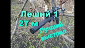 Эдган Леший 4.5 стрельба из пневматической винтовки