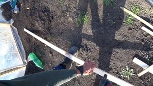 Ставим двери на теплицы #клубника #Ролетынатеплицу #теплица