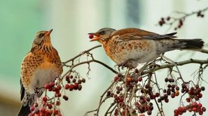 Стихи о смысле жизни. Философия. Стихи о главном.
