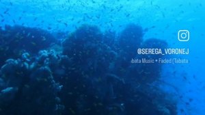 Шарм эль шейх