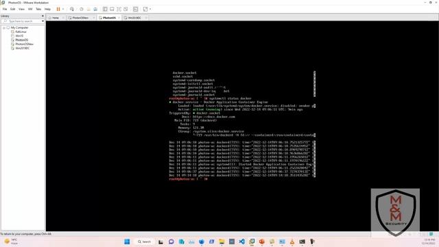 PhotonOS Ckeck docker status смотреть онлайн