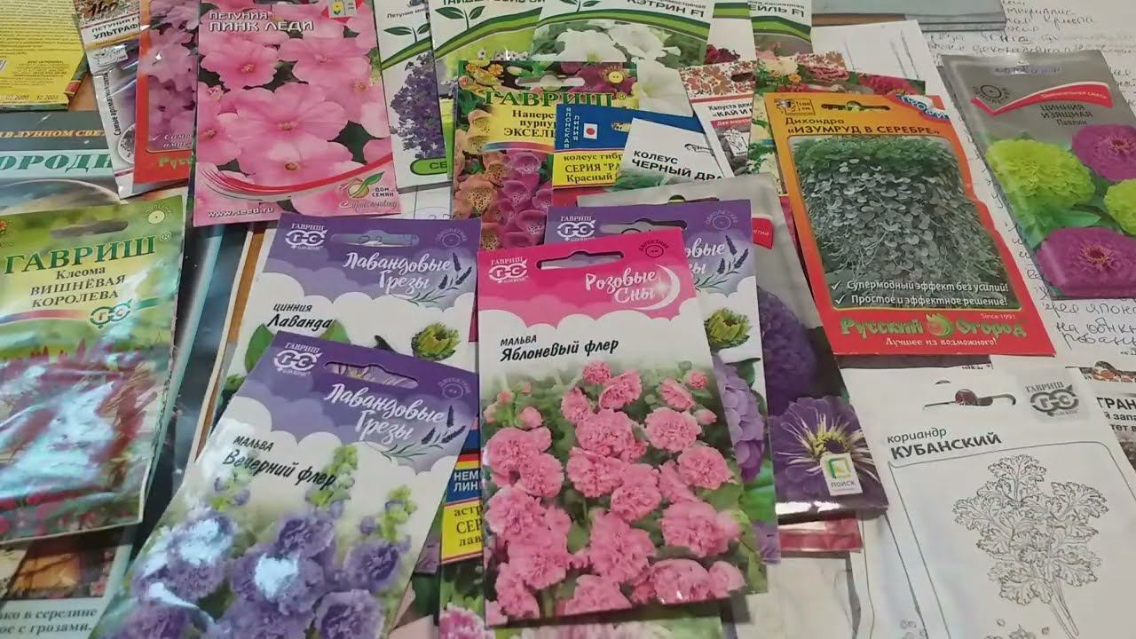 ПОЗИТИВ петуния СЕМЕНА планы СКОРО ВЕСНА!