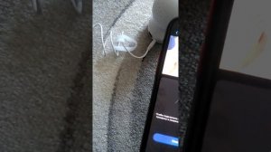 Подключение камеры Reolink E1