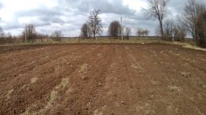 Культивация целинного поля АКШ-3,6 + МТЗ 82.1