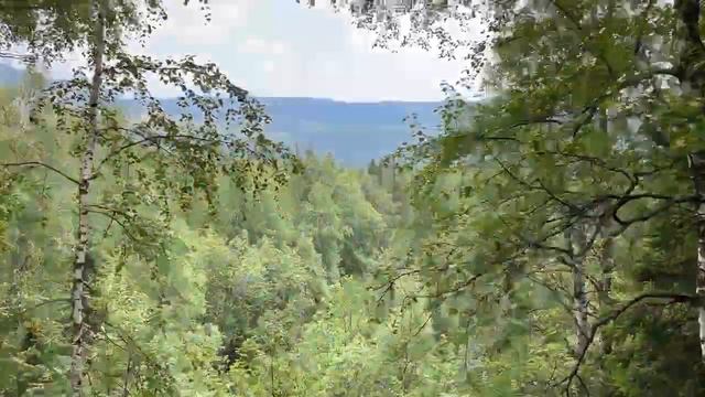 День Семьи, Любви и Верности, 2022 смотреть онлайн