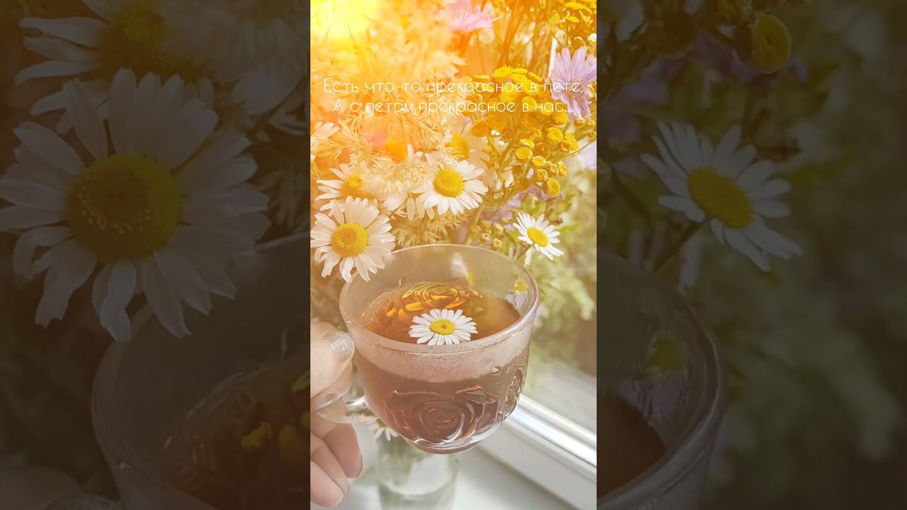 Прекрасное лето #music #summer смотреть онлайн