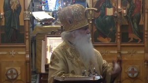 Исцеление Иерихонского слепого. Первосвятительское слово после чтения Евангелия  30_01_2022.