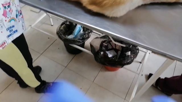 Что показал тест в клинике 5-горска? Врач отказал в УЗИ.