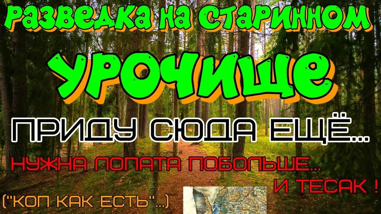 Шурф и коп монет металлоискателем.Разведка на старом урочище.Не выбитое место.Нужен тесак!
