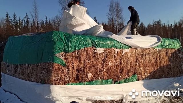 Новая технология заготовка Сенаж. смотреть онлайн