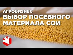 Выбор посевного материала сои | КФХ Гриднев