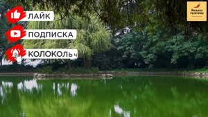 Рассказ мужчины | Измена жены. Застал жену с любовником. Схватил инфаркт. Реальная история