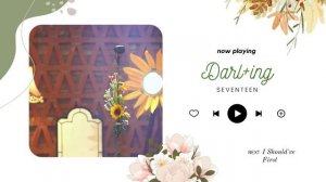 SEVENTEEN (세븐틴) Soft Playlist ♪ study, relax, sleep ♪