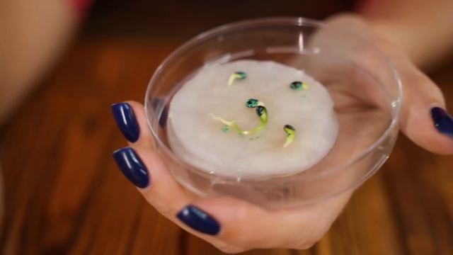 Питательные растворы StimGarden | Современные ускоренные способы выращивания смотреть онлайн