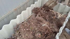 Вкусная грядка для клюквы и брусники