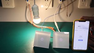 Bseed WiFi 1 Gang 2 Way Light Switch Install and Connect With Caption