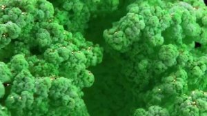 Сияющий риф от Re-агентов