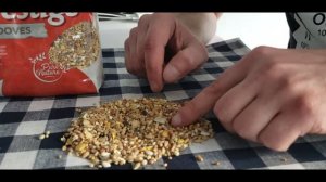 Чем кормить домашнего голубя