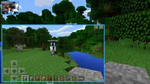 PC and PE 12 Cross Platform is Here! (Windows 10 Edition/Pocket Edition) - MINECRAFT